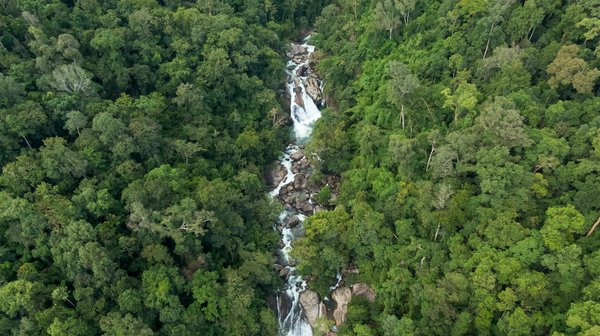 Comment devenir street artiste ?